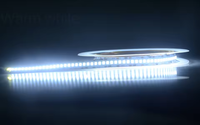 Guirlandes lumineuses LED personnalisées 12V DC en cuivre SMD2835 2700K blanc chaud certifiées CE, type C, pour décoration paysagère, découpables, 240 LED