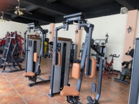 Sélection commerciale Fitness Poitrine Gym Beurre Pec Pont Fly Dec Arrière Delt Machine Assis Pectoral Équipement D'exercice