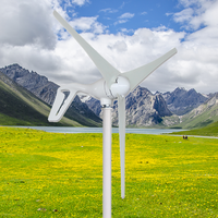 Usine en gros et au détail 3/5 lames 1000W 2000W toit petite éolienne générateur d'énergie gratuite