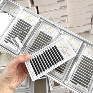 निजी लोगो Yy 12 लाइनों y आकार के हस्तनिर्मित नरम नेत्रगोलक प्राकृतिक दिखने वाली लाइजी ग्राफटिंग स्लैट्स एक्सटेंशन - Product Image 2