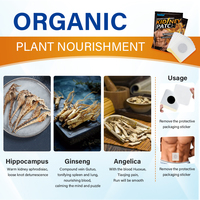 Parche Herbal Nutritivo para Hombres A1027, en Oferta, para Mejorar la Erección, Alivio del Dolor de Próstata y Urología, 2 Años