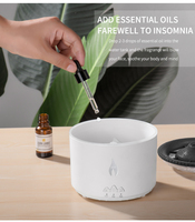 Nouveau diffuseur d'aromathérapie d'huile essentielle à ultrasons Portable feu volcan méduse humidificateur USB plastique 12 OEM ménage DC