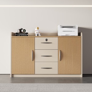 屋外ワークショップホームオフィス & ホテル用カスタマイズされたモダンなオフィス家具ロックファイルキャビネットと本棚 - Product Image 1