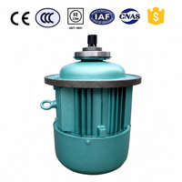 ZD1 3.0KW 380V Motor Hoist Rem Rotor Kerucut Nanjing High Speed Gear