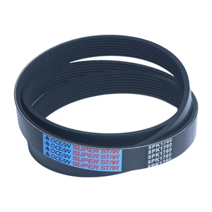 สายพานยางร่องวี OCEAN OEM 8PK1760 สำหรับพัดลมรถยนต์ ร้านพิมพ์ พร้อมการรับประกัน 1 ปี - Product Image 2