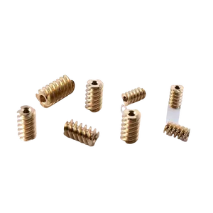 Custom made small modulus worm Gears manufacturer