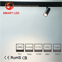 Rail magnétique ultra-fin de 20 mm pour éclairage sur rail, style moderne et minimaliste, pour boutique et studio, 20W 30W 40W, zoomable, dimmable, COB LED en aluminium