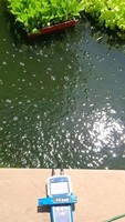 Écran à cristaux liquides d'eau de piscine facile à utiliser pHS-1701 Portable numérique ORP ph mètre prix