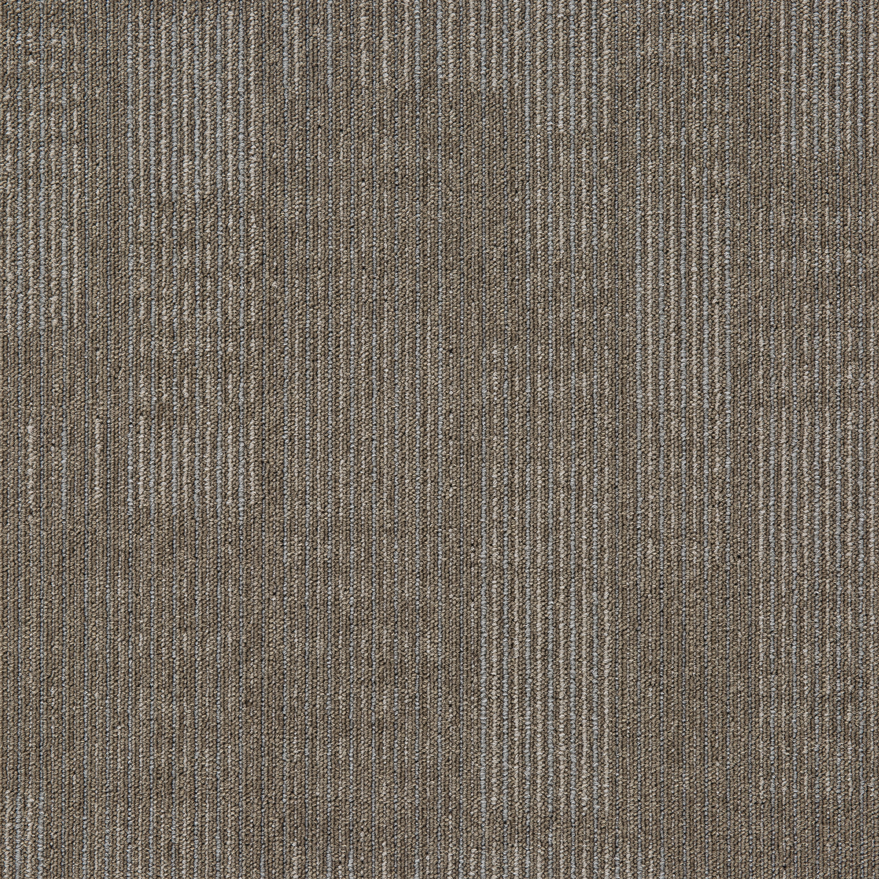 Grey02