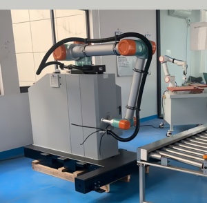 Robot Collaboratif Automatique à Utilisation Facile pour la Palettisation de Cartons, Sacs et Caisses – Empileur Cobot 30kg avec Moteur PLC - Product Image 6