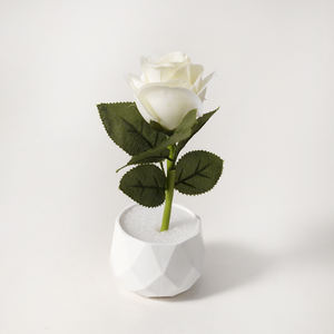 Led <span class=keywords><strong>Pot</strong></span> de Fleur Extérieur Grande Lumière Décorative de <span class=keywords><strong>Jardin</strong></span> Articles de Décoration Lumières Solaires Colorées Mini Vases Led Planter Light - Product Image 2