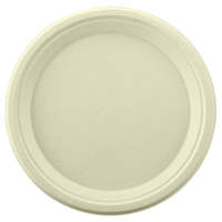 Assiettes compostables en bagasse de canne à sucre naturelle de 10 pouces |   Rond |   Nature blanche à Atlanta en stock