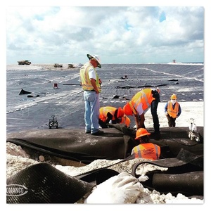 <span class=keywords><strong>Film</strong></span> de paillage agricole en plastique <span class=keywords><strong>noir</strong></span>, tissu tissé en PE, contrôle de l'herbe, <span class=keywords><strong>pour</strong></span> la <span class=keywords><strong>plantation</strong></span> - Product Image 5