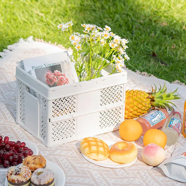 New Solid Color Light Luxury Outdoor Picnic Folding Basket Foldable Hollow Desktop Snack Portable Storage Basket