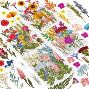 Assortiment <span class=keywords><strong>de</strong></span> feuilles florales séchées naturelles pour kit d'artisanat DIY, pour la résine, la fabrication <span class=keywords><strong>de</strong></span> téléphones, <span class=keywords><strong>de</strong></span> savons, <span class=keywords><strong>de</strong></span> bougies et <span class=keywords><strong>de</strong></span> bijoux - Product Image 3