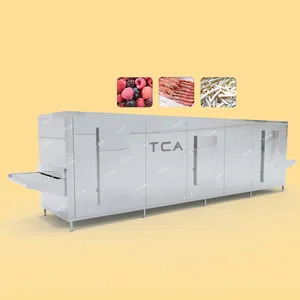 Tca Hoge Kwaliteit Automatische Blast Goedkope Prijs Iqf Tunnel Vriezer Machine Voor Frietjes