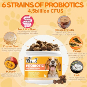 Probiotiques pour chiens OEM ODM Private Label avec prébiotiques favorisant un microbiome intestinal équilibré - Renforce la santé immunitaire - Friandises à mâcher molles - Product Image 2