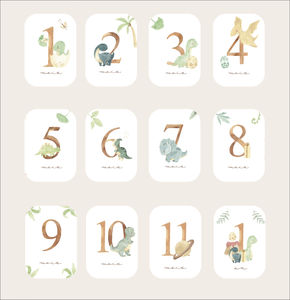 Baby's <strong>First</strong> Year Step <strong>Cards</strong> Baby Step <strong>Card</strong> - Product Image 6