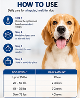 Comprimés à mâcher pour chiens et chats, mélange probiotique et prébiotique, texture lisse, absorption rapide, pour le bien-être immunitaire et digestif, riche en protéines