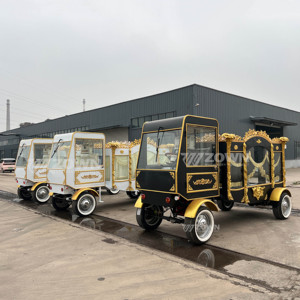 รถม้าศพไฟฟ้าสไตล์ยุโรป พร้อมม่านตกแต่งและขอบสีทอง สำหรับใช้ในพิธี - Product Image 1