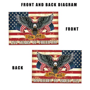 Drapeau américain vintage avec aigle, bannière de 14x21 cm, 250 ans de liberté, 1776-2026, mini-guirlande portative pour rassemblement patriotique - Product Image 2