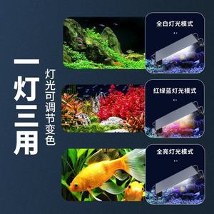 Lumière LED fluorescente pour <span class=keywords><strong>Aquarium</strong></span>, série GX-S, support rétractable pour <span class=keywords><strong>Aquarium</strong></span>, lumière bleu clair blanc GX-S200 GX-S300 - Product Image 3