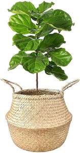 Dokuma 6 Canasta De Picnics çamaşır sepeti birim bambu çamaşır su sümbül hediye sepet Rattan krem kapaklı - Product Image 3