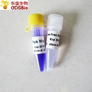 2x Plus mezcla <span class=keywords><strong>PCR</strong></span> maestro mezcla P2031-P2032 - Product Image 1