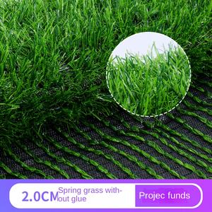 Gazon artificiel de loisirs pour terrain de golf, 20 mm de hauteur, en plastique, vert, en soie bouclée, tapis de gazon, garde-corps antidérapant, haute densité - Product Image 5