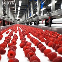 Exportprijs Chinese vruchten voor smoothies en desserts/Topkwaliteit Beste prijs Gehele diepvriesvruchten Groothandel Verse IQF Diepvriesframbozen