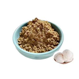 Polvo de extracto de Melena De León orgánico directo del fabricante, suplemento de salud cerebral puro a granel personalizable - Product Image 2