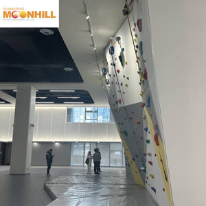 <span class=keywords><strong>Parete</strong></span> per arrampicata su roccia Indoor pannello per arrampicata masso arrampicata su <span class=keywords><strong>parete</strong></span> Bouder - Product Image 6