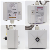 Transmisor y Receptor de Control Remoto Inalámbrico para Grúa Industrial de Doble Velocidad, Resistente al Agua IP67