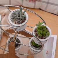 Zakka — planteur succulente de jardin, grand tour, Pots de fleurs en céramique pour plantes avec support, ensemble de 6 pièces, livraison directe