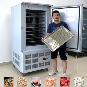 Nhỏ Blast Máy làm lạnh Tủ đông máy cho Nhanh chóng làm lạnh thực phẩm đông lạnh cho bánh cá và tấm khác mặt hàng đông lạnh - Product Image 1
