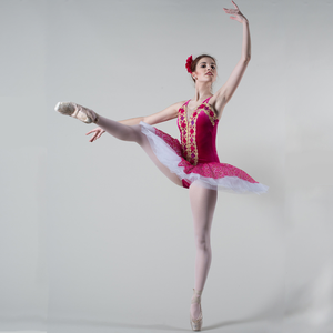 Nueva <span class=keywords><strong>moda</strong></span> Rosa tutú de Ballet profesional para niñas niños puesta en escena trajes de baile vestido de Ballet - Product Image 5