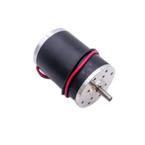 Hete Verkopende Laagspanning 36V Micro Dc Borstel Motor Model 73zyt