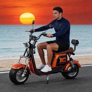 Motocicleta Deportiva X16 de Nuestra Fábrica, con Neumáticos Grandes y Resistentes para Adultos, Cuadro Reforzado para Terreno Arenoso, Frenos de Disco Hidráulicos - Product Image 1