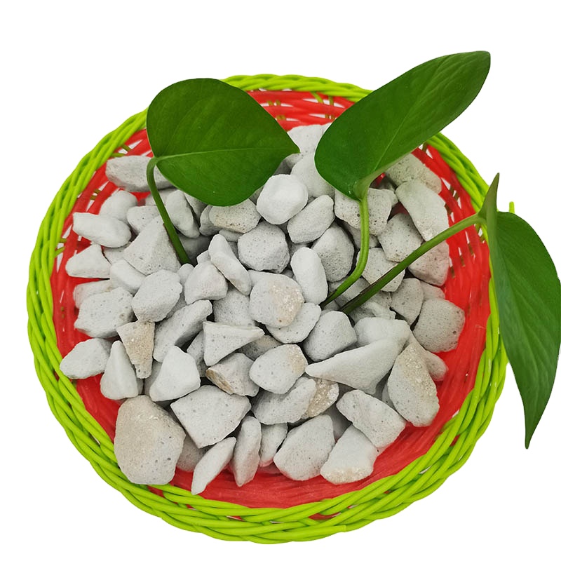 Perlite Espansa 10 Litri - Terreno Per Piante, Colore Bianco - Ideale Per Drenaggio E Alleggerimento Substrati - Foto 3