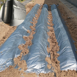 Rollo de Película de Plástico Negro Plateado Totalmente Biodegradable para Cobertura del Suelo, Película Compostable para Mulching - Product Image 1