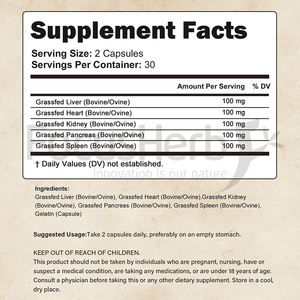 FocusHerb Grass Fed Suplemento de carne de res Hígado Corazón Riñón Páncreas Bazo Mezcla 5 en 1 Cápsula de órgano de carne de res - Product Image 3