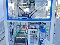 Ligne de production de conditionnement de bouteilles de jus robotisées de haute qualité, machine d'emballage de boîtes de boissons à alimentation manuelle Spider Hand, palettiseur pour l'alimentation