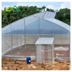 Polyfolie tunnelkas is zeer geschikt voor het kweken van diverse groenten, fruit en bloemen. - Product Image 2