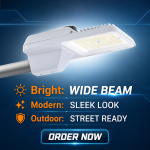 Lampada Stradale LED Philips BRP492 con Grado di Protezione IP66, Illuminazione per Autostrade e Strade Urbane - Product Image 1