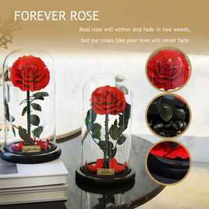 OFERTA DE <span class=keywords><strong>PRECIO</strong></span> ESPECIAL Rosa natural Regalo del Día de la madre Decoración Everlasting Forever Eternal Rose Flor preservada en cúpula de vidrio Led - Product Image 5