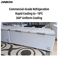 Congélateur horizontal sous comptoir en acier inoxydable à température unique avec contrôle numérique pour usage en supermarché