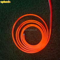 Bande de LED flexible en silicone étanche IP65 pour l'extérieur, corps en PVC transparent, néon souple pour décoration de jardin