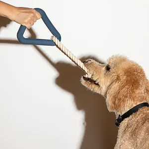 Jouet à mâcher en forme d'animal de compagnie, pour grand et petit chien, chiot, pomme en corde de coton, modèles animaux domestiques à mâcher, très tendance - Product Image 1