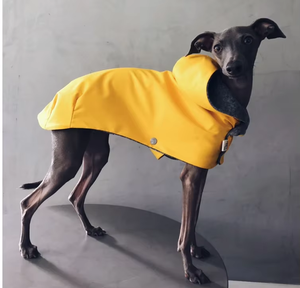 Fabricant <span class=keywords><strong>de</strong></span> vêtements <span class=keywords><strong>pour</strong></span> animaux <span class=keywords><strong>de</strong></span> compagnie design <span class=keywords><strong>de</strong></span> mode personnalisé imperméable et coupe-vent <span class=keywords><strong>pour</strong></span> chien - Product Image 5