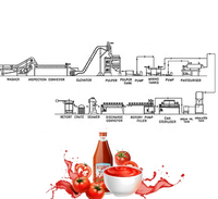 Automatische Kleine Verwerkingsfabriek Professionele Tomatenjam Productielijn Tomatenpuree Verwerkingsmachine Prijs Om Jam Te Maken